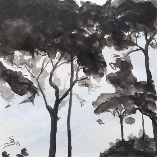 below pine trees, 20 x 20 cm, aquarelle
